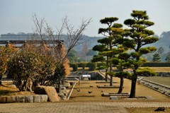 風流