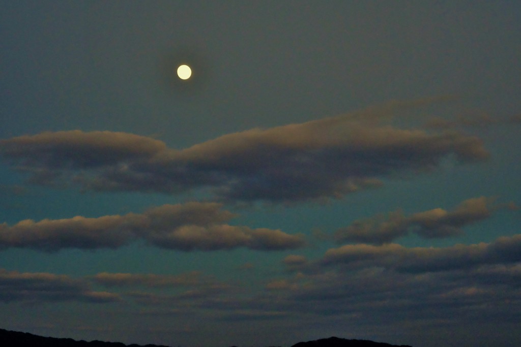 泳雲