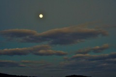 泳雲