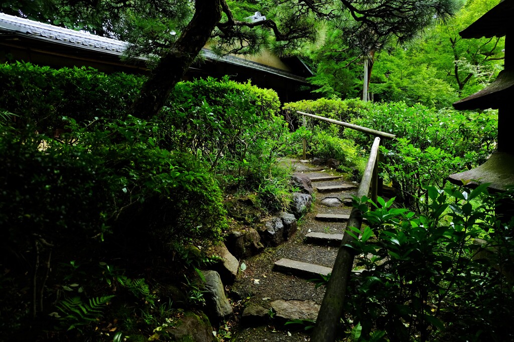 小粋な道