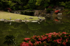 憩う