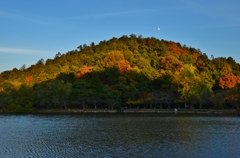 薄月三島池