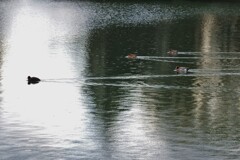 航跡