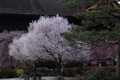 際立ち