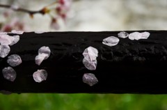 花びら