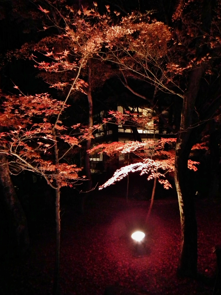 ライトアップ