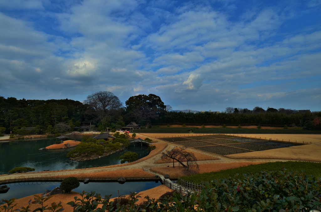 冬園の空