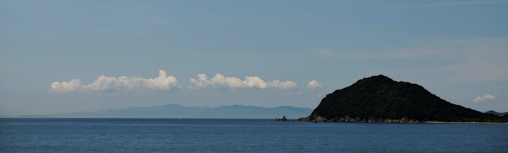 蕾雲