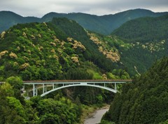 谷合