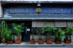 京/店頭植栽