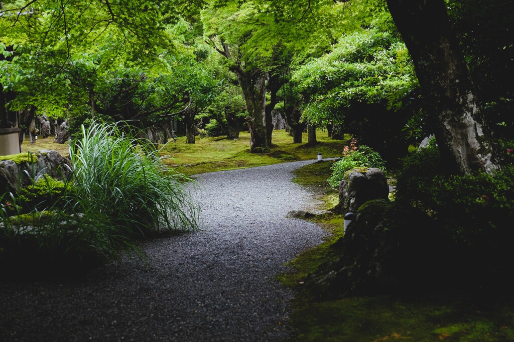 庭園の道