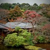 泉景