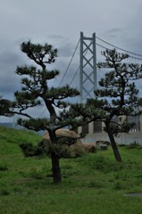 橋塔