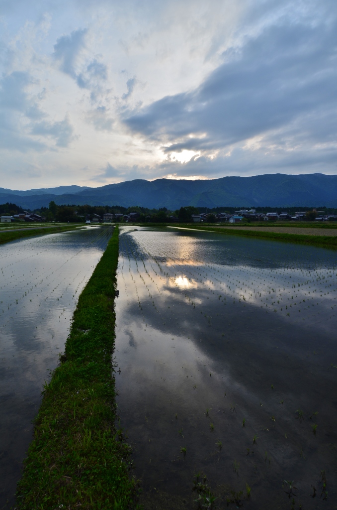 畦道