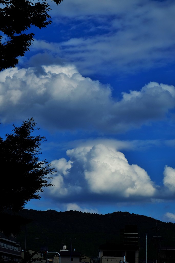 秋盛雲