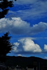 秋盛雲