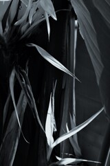 葉の舞