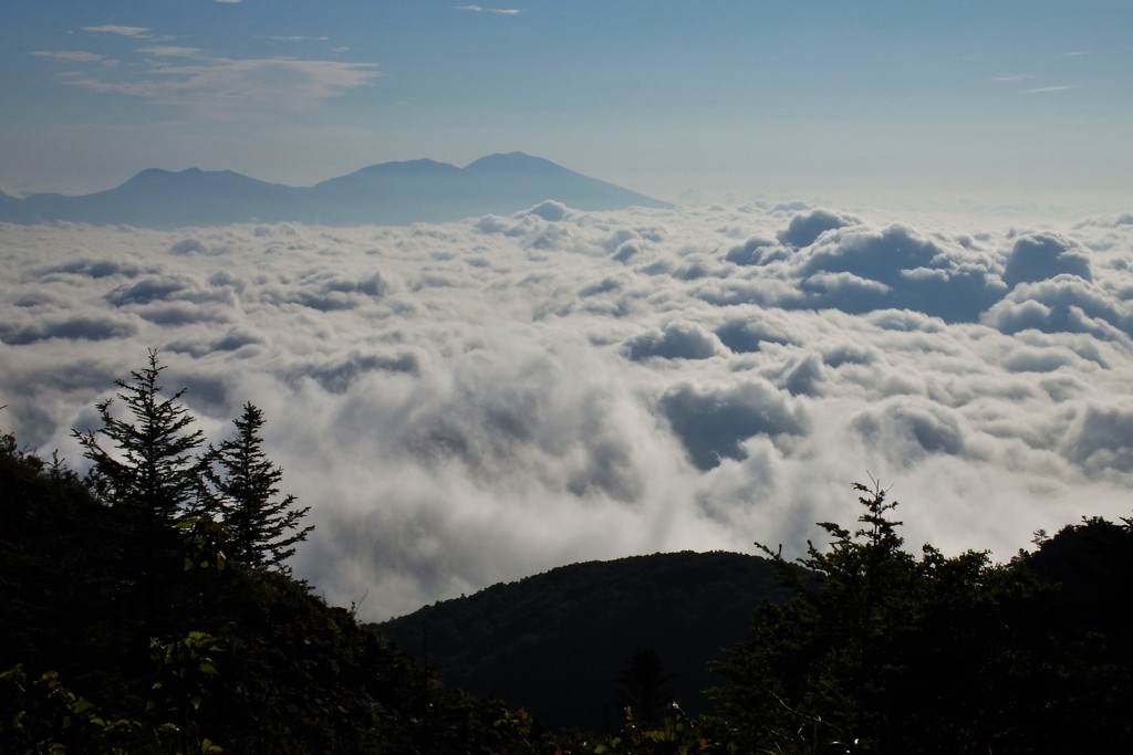 雲海
