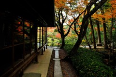 裏道