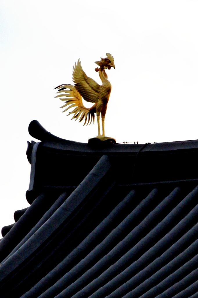 鳳凰再生