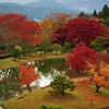 紅葉の池