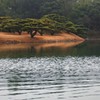 さざ波