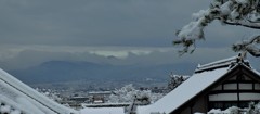 京の冬
