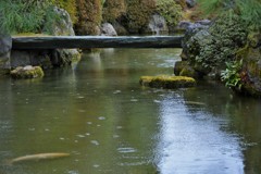 石橋