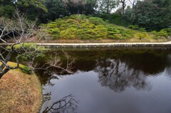 栗林の富士