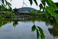 涼風