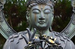 雨に打たれて