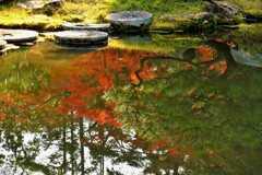 紅葉を映す