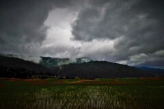 雲行き