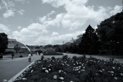 京都植物園