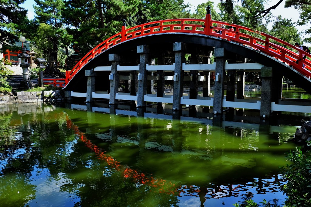 名物橋