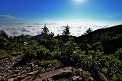 山の朝