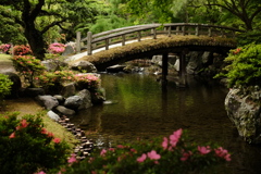 土橋