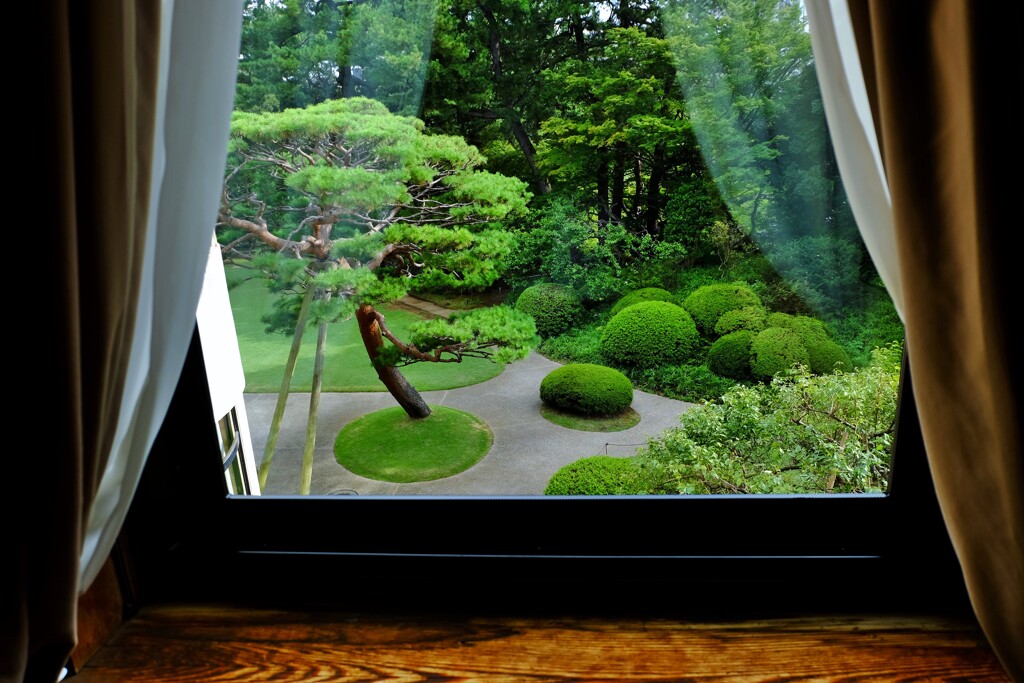 窓からの