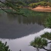 松、松、松