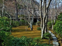山荘