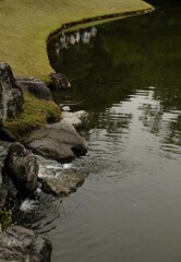 注ぐ