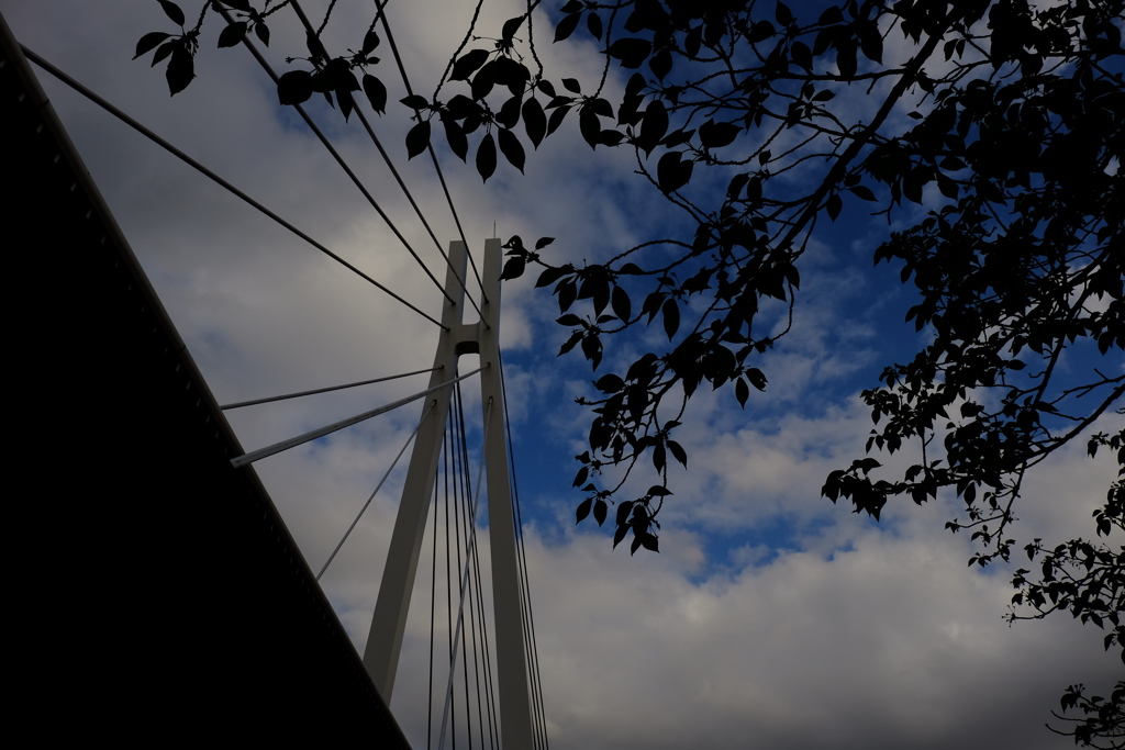 橋