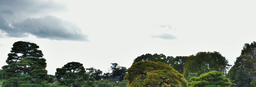 松に雲