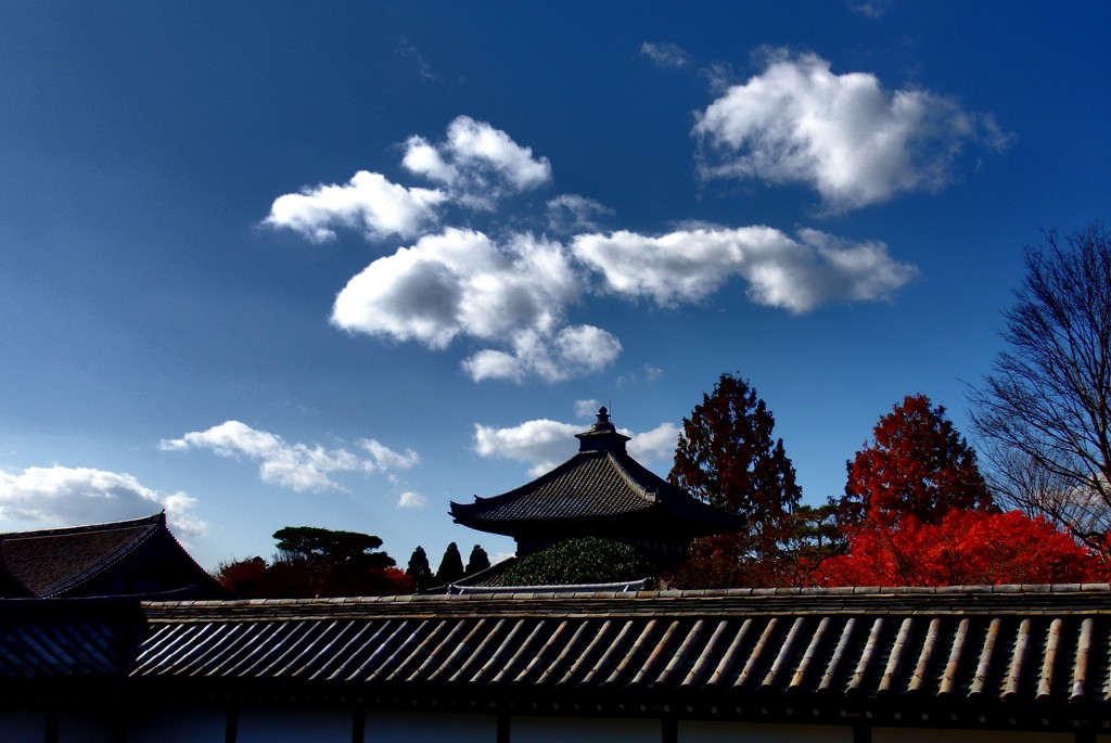 秋雲