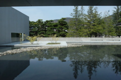 人工池