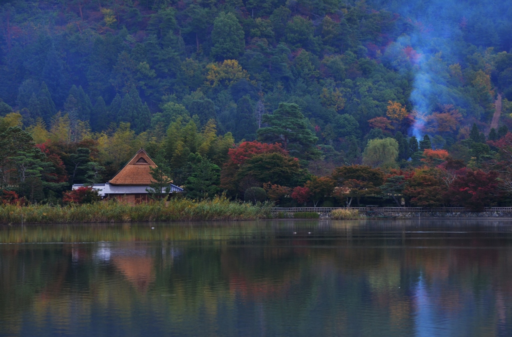 早朝の池畔