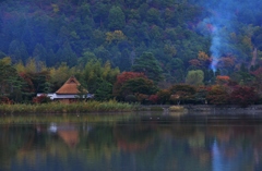 早朝の池畔