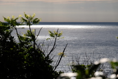 光る海