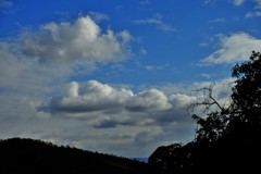 雲