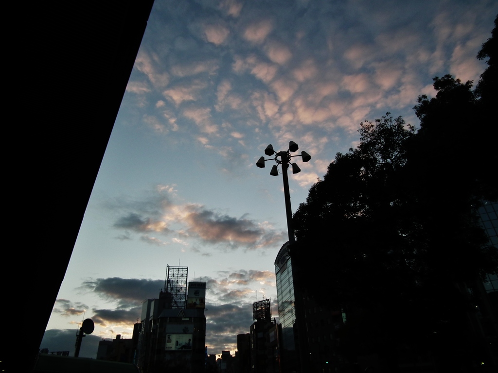 都会の夕焼け